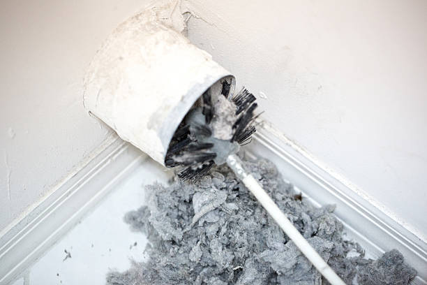 Air Duct Mold Removal in Silver Lake, FL